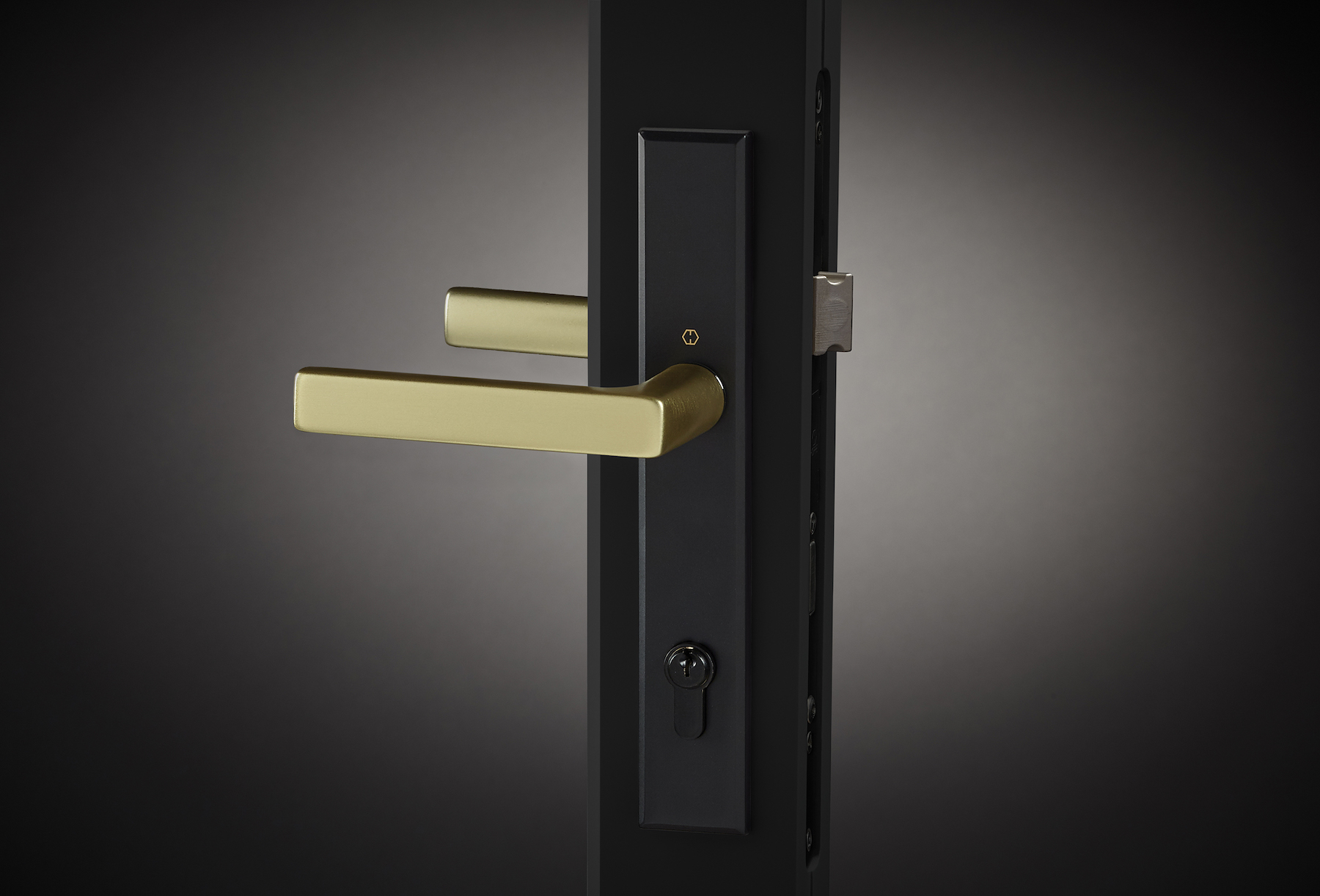 To complement its VistaLuxe collection, Kolbe Windows & Doors launched the two-tone Dallas handleset (shown) for in-swing entrance doors. The Brushed Gold lever complements a Matte Black key cylinder, turn knob, and escutcheon. Kolbe also unveiled the Ashlar crank-out handle for casements and awnings, in Matte Black, Rustic Umber, Satin Nickel, and White finishes.