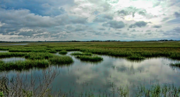 U.S. wetlands