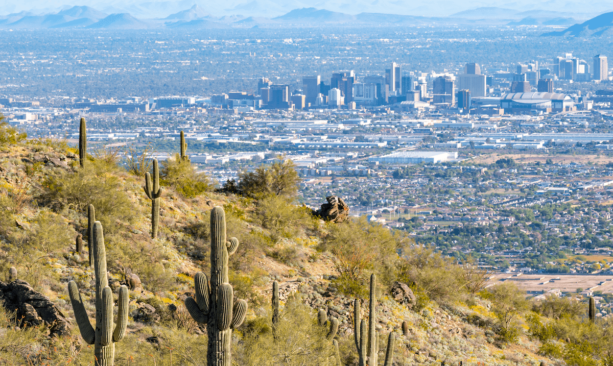 View of Phoenix metro with cacti in the foreground