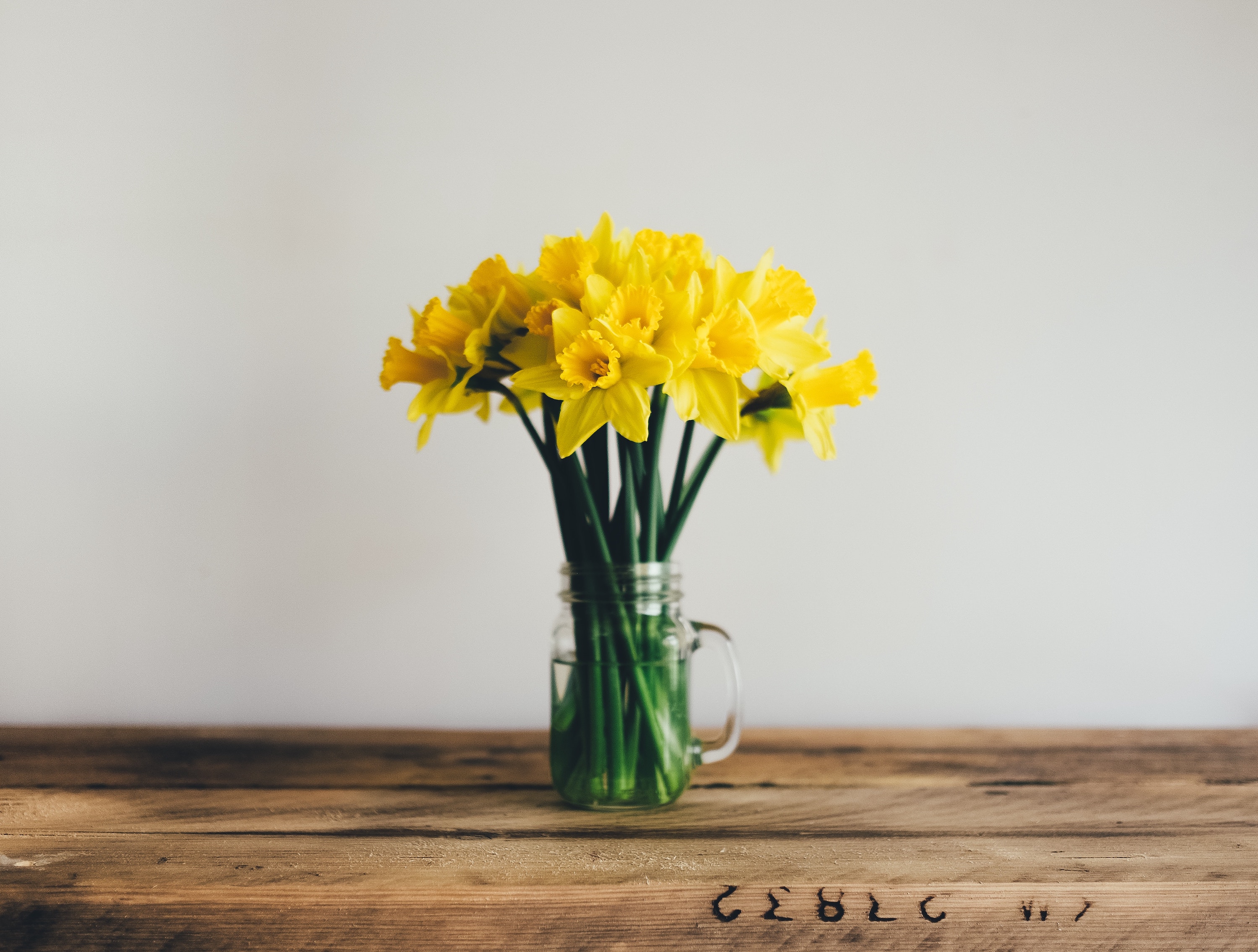 Daffodils in vase on table