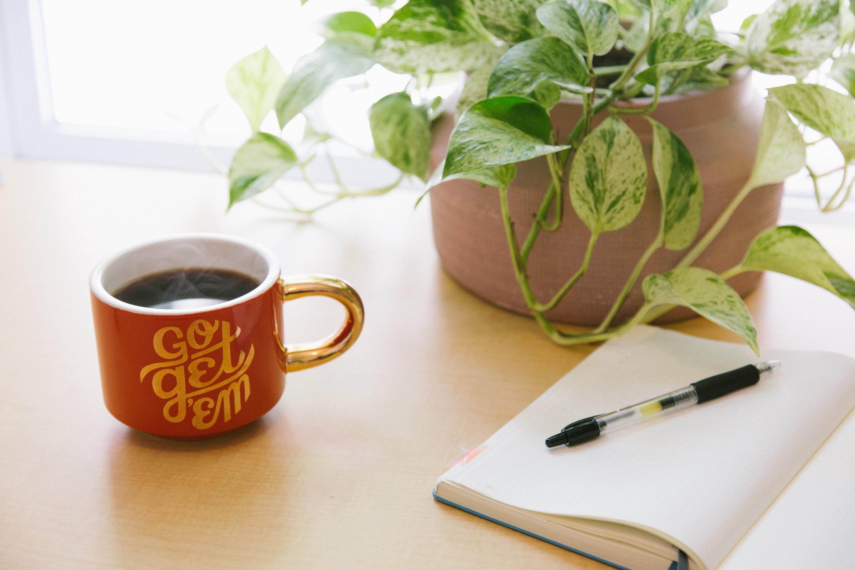 Go Get 'Em mug with house plant and open notebook on table