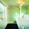 The bathroom in the weeHouse by Alchemy Architects.
