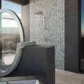 The New American Home 2019_outdoor shower_interior view
