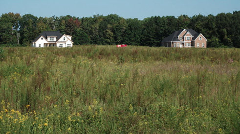 Undeveloped open fields waiting for acquisition by builders