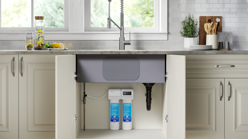 Kraus Purita water filtration system