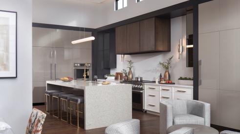 The New American Home 2021 design and products for kitchens and baths 