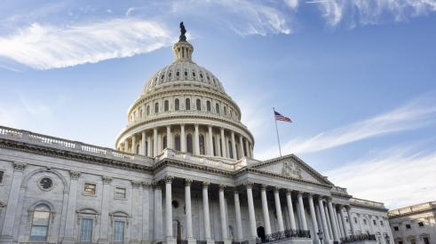 US Congressional Capitol Building shown in Washington D.C.