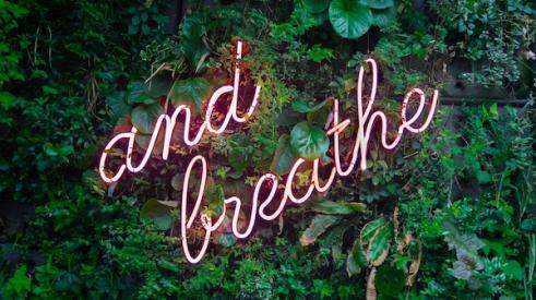 Green_wall_with_and_breath_neon_sign