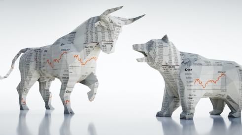 Bull and Bear stock market