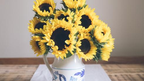 Sunflowers on a dining table in a home