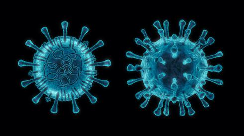 Coronavirus Health Risk