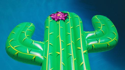 Cactus floaty