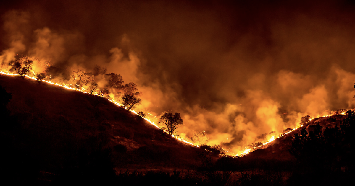 Trees aflame during the Woolsey Fire in California