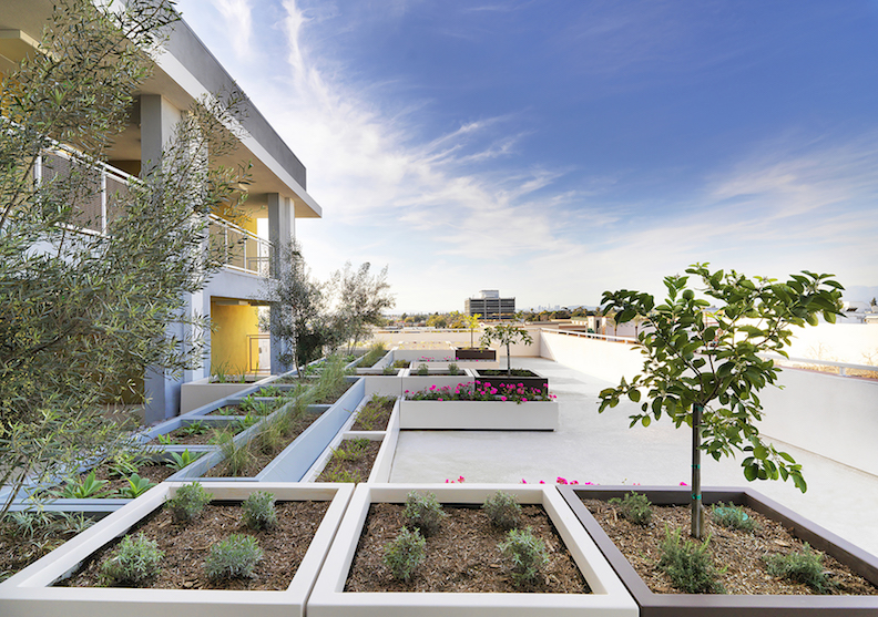 Landscaped roof terrace at Downey View apartment complex