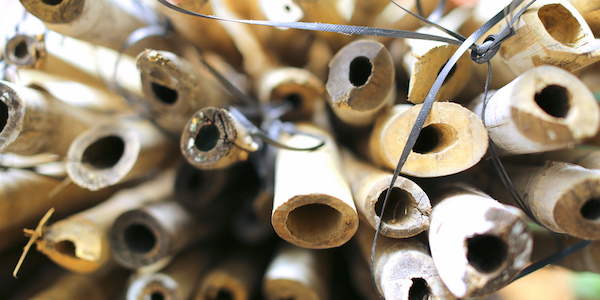 Industry leaders call for wider use of bamboo as a building material