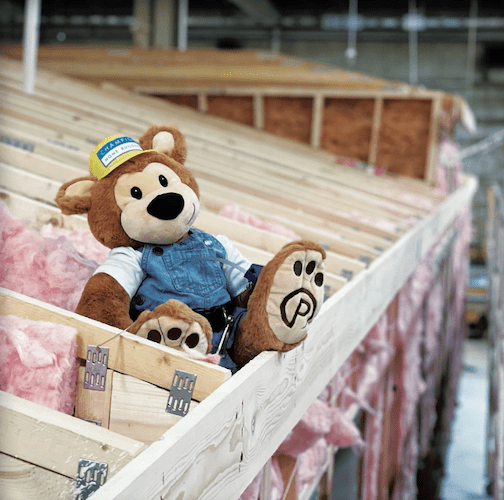 Pawley Benjamin bear mascot for Pro Builder