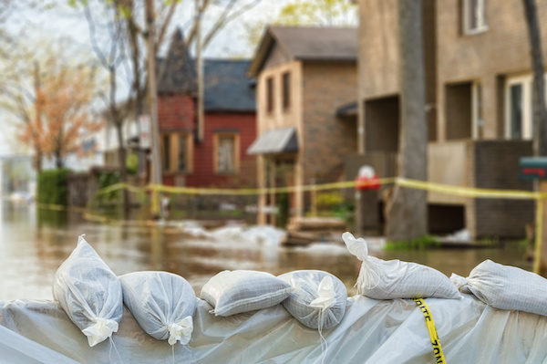 Flood protection sandbags with homes in back