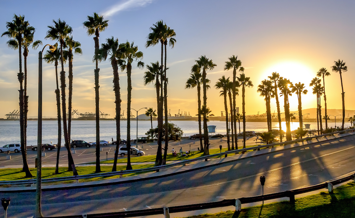 California sunset with palm trees