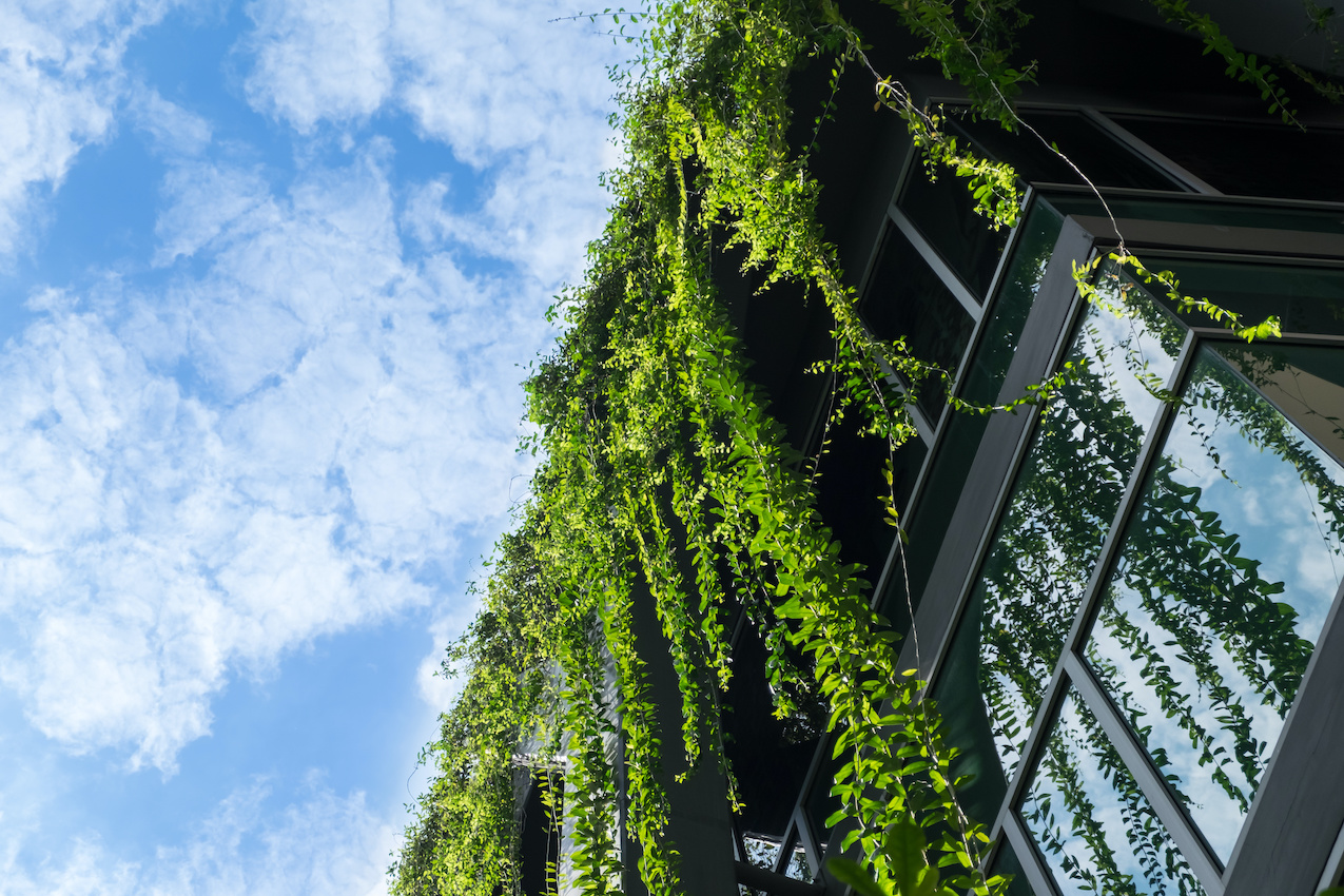 Building with hanging greenery