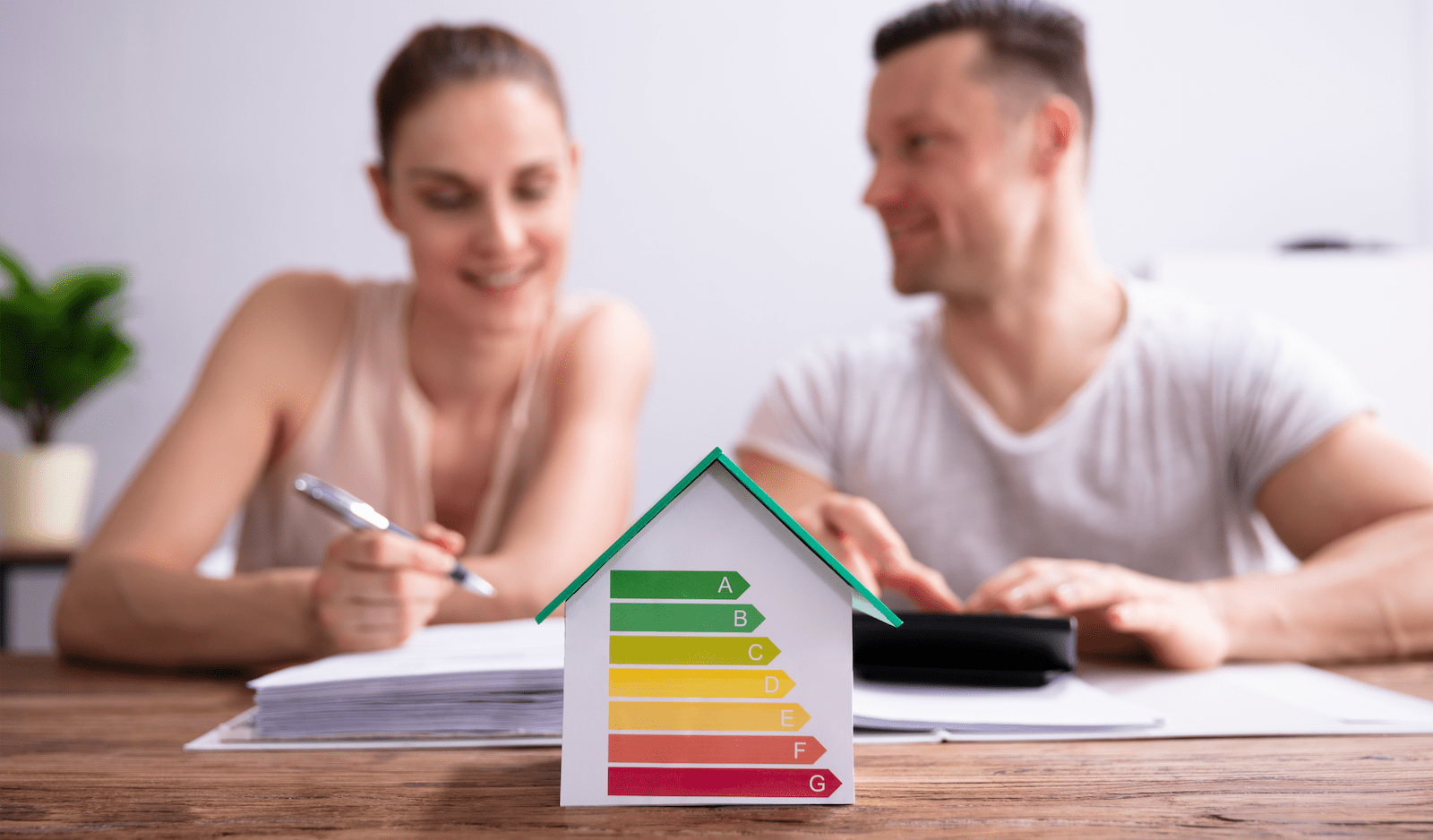 Homeowners assessing green building options for home performance