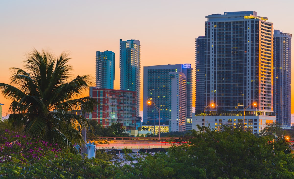 Miami skyline at sunset with palm tree in foreground