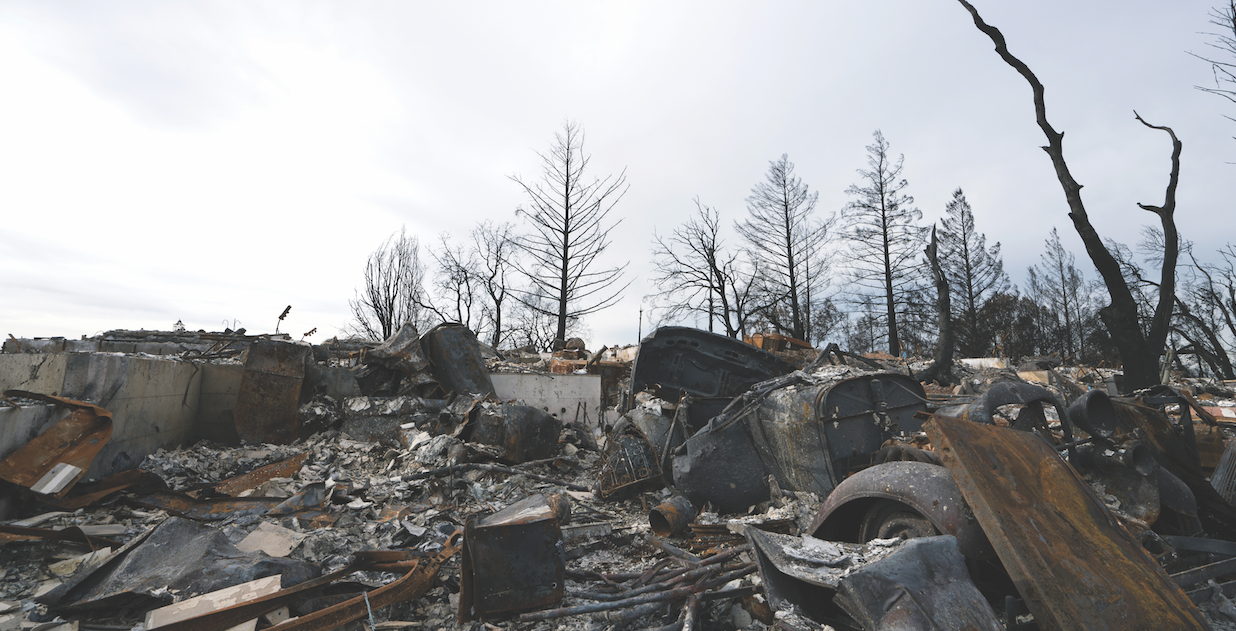 Landscape showing wildfire damage