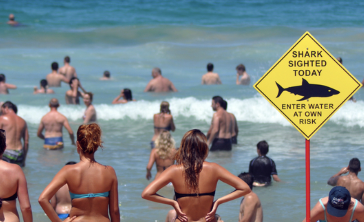 people at beach with shark warning sign
