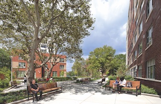 Landscaped green space at Soundview Family and Senior Housing