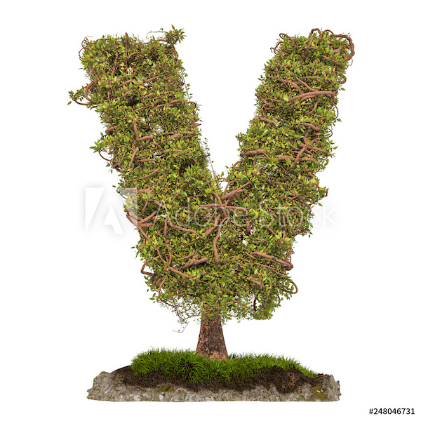 V-shaped shrubbery