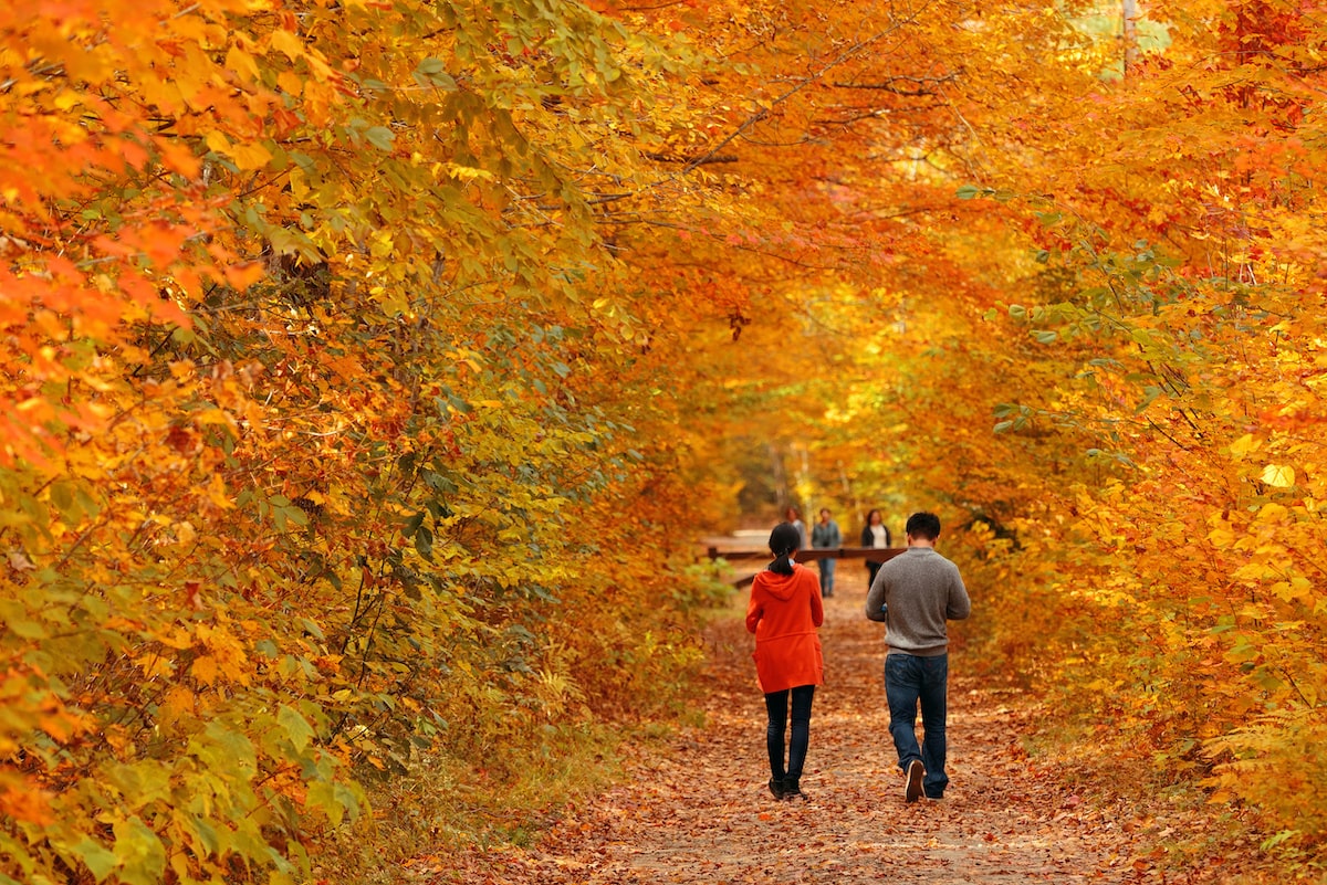 People walking down path with autumn leaves in Vermont