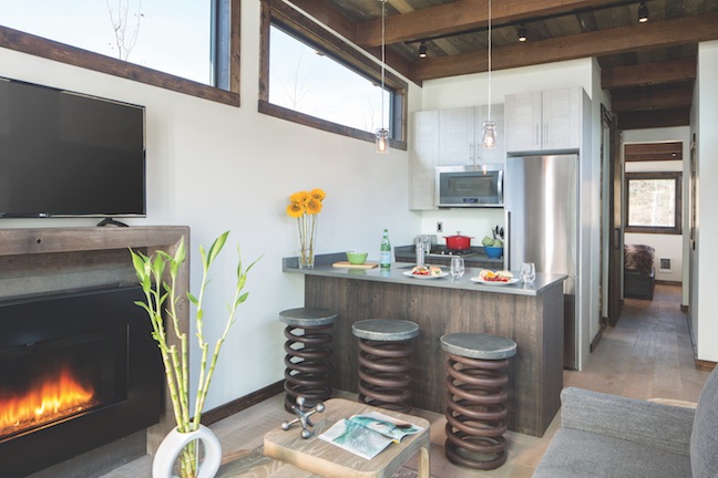 Wheelhaus Wedge tiny modular home kitchen