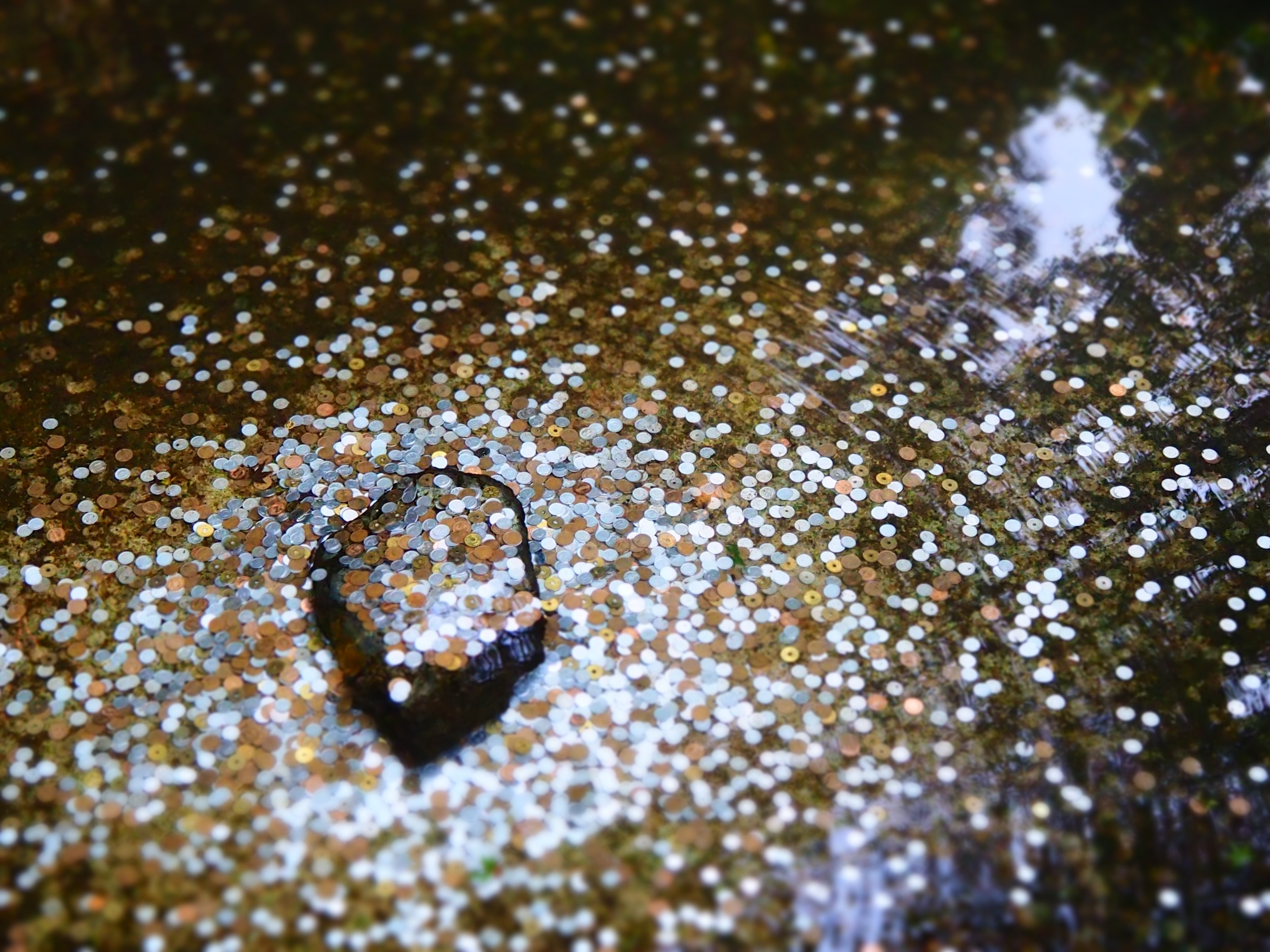 Coins in a wishing well