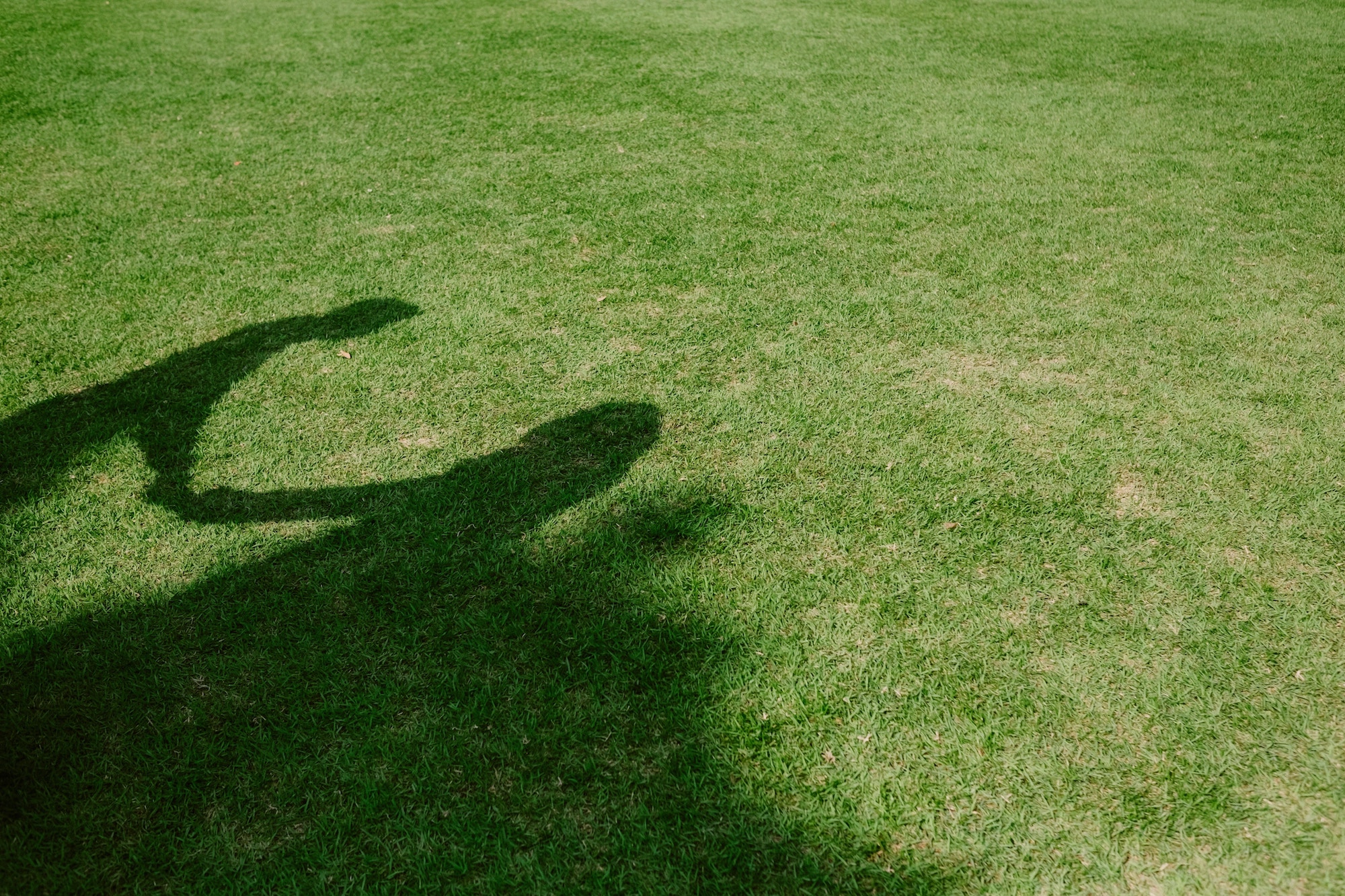 Shadow of two people shaking hands on a green lawn