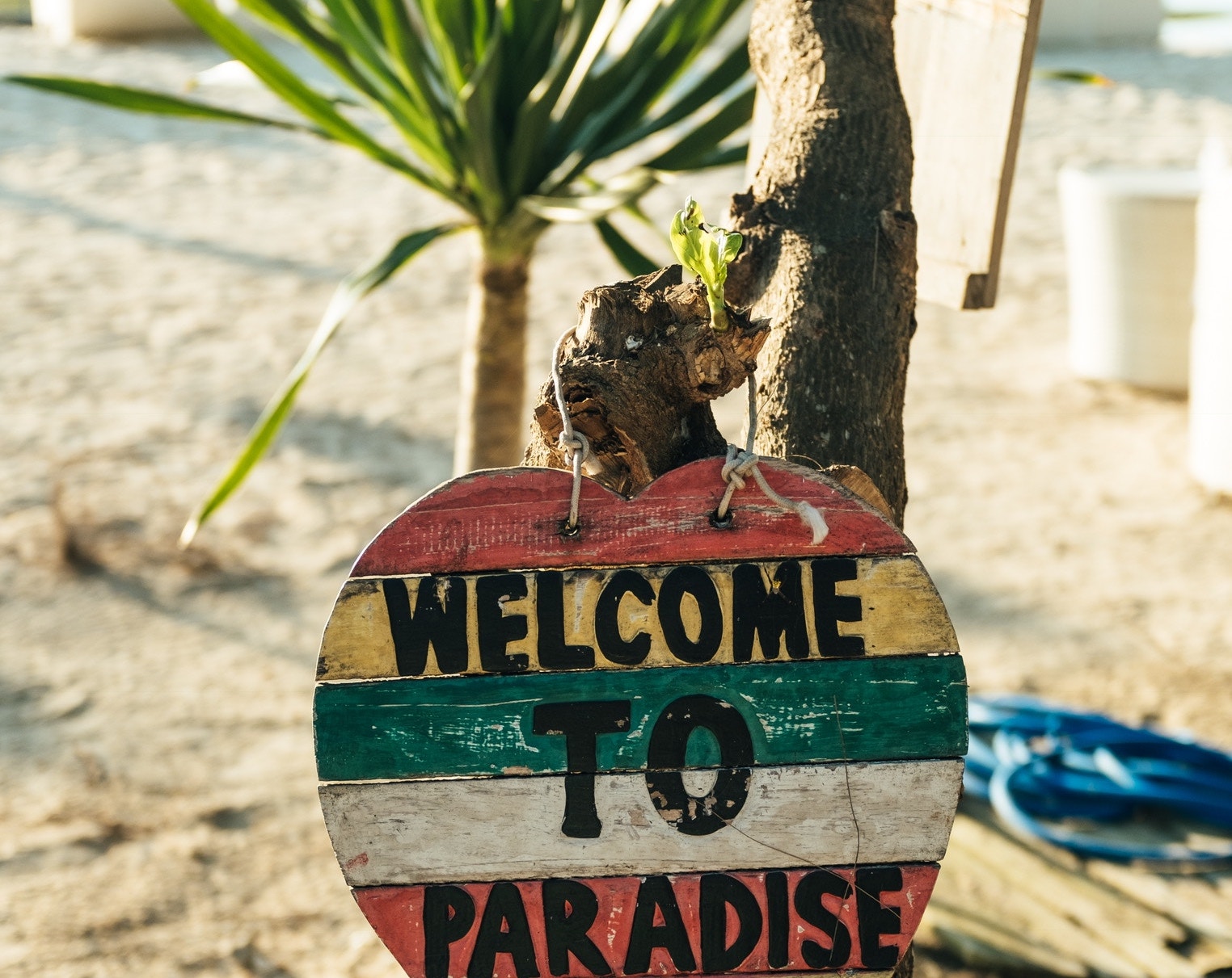 Sign on tree that says "welcome to paradise"