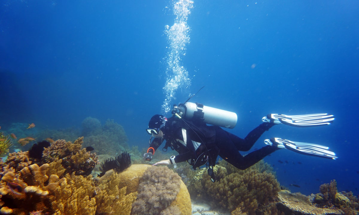 Scuba diver inspecting coral reef