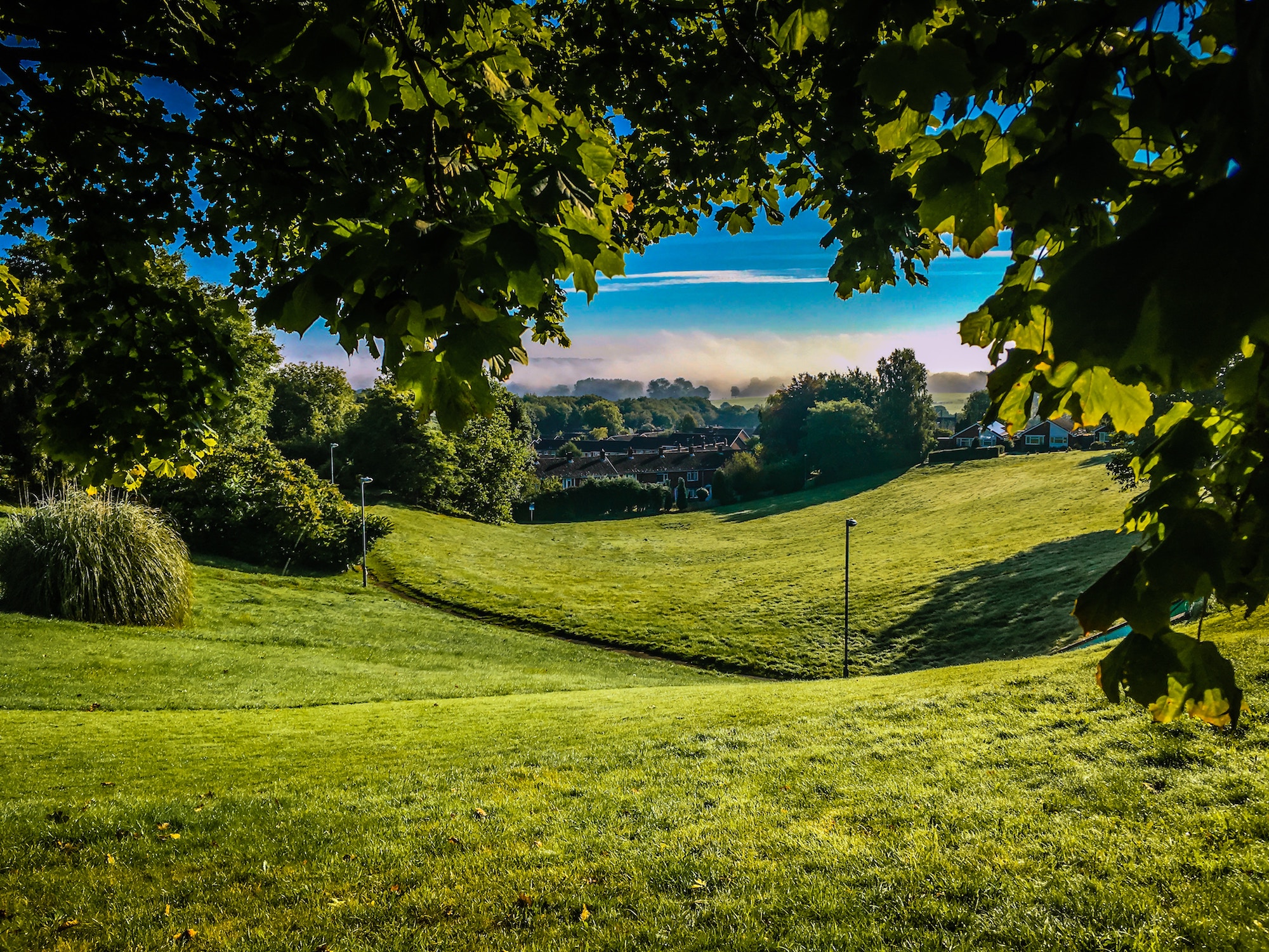 Rolling green hill overlooking residential area