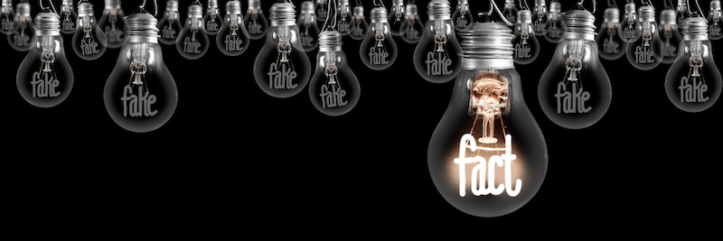The word 'fact' illuminated inside a light bulb