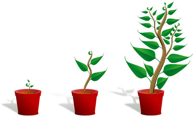 Graphic_image_of_three_potted_plants