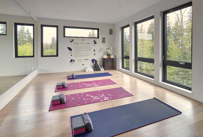 2019 Professional Builder Design Awards Gold Infill common space yoga room