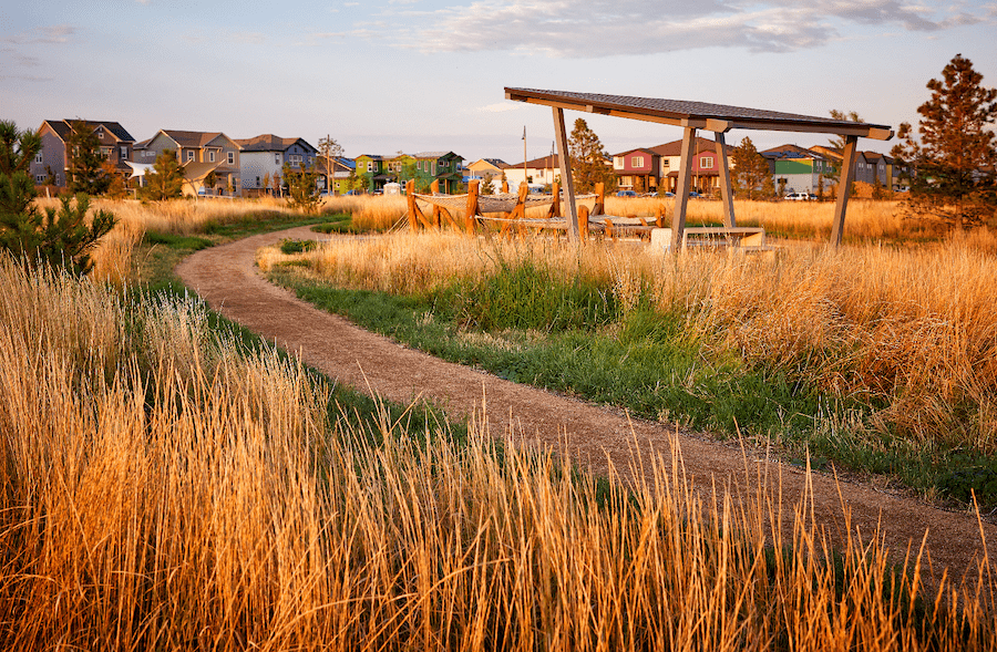 2022 Nationals winner Best Community Landscape Painted Prairie grasses
