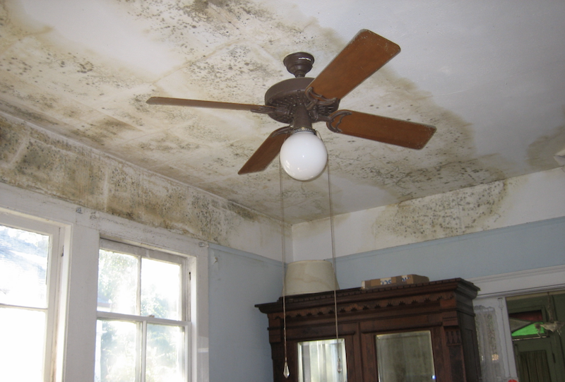 mold on ceiling of home interior