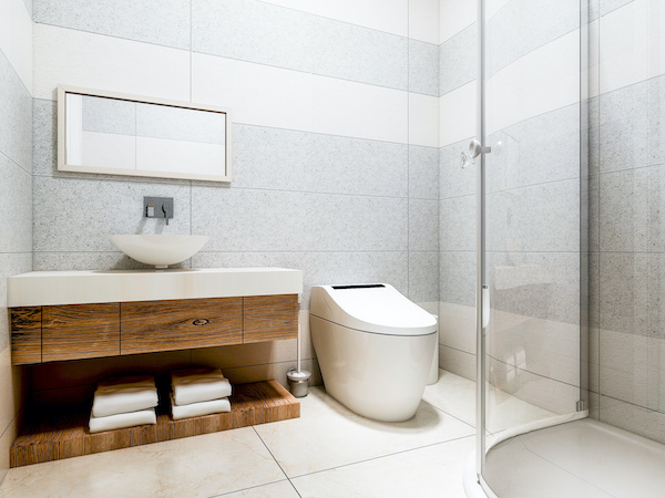 Shower bidet smart toilet