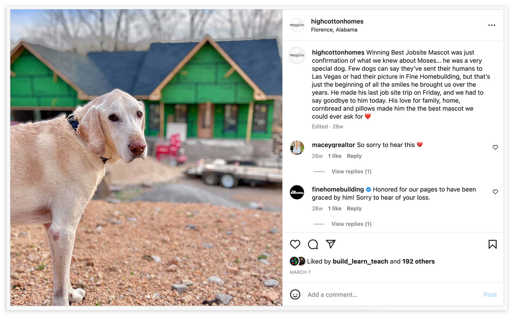 Instagram post screenshot dog at jobsite