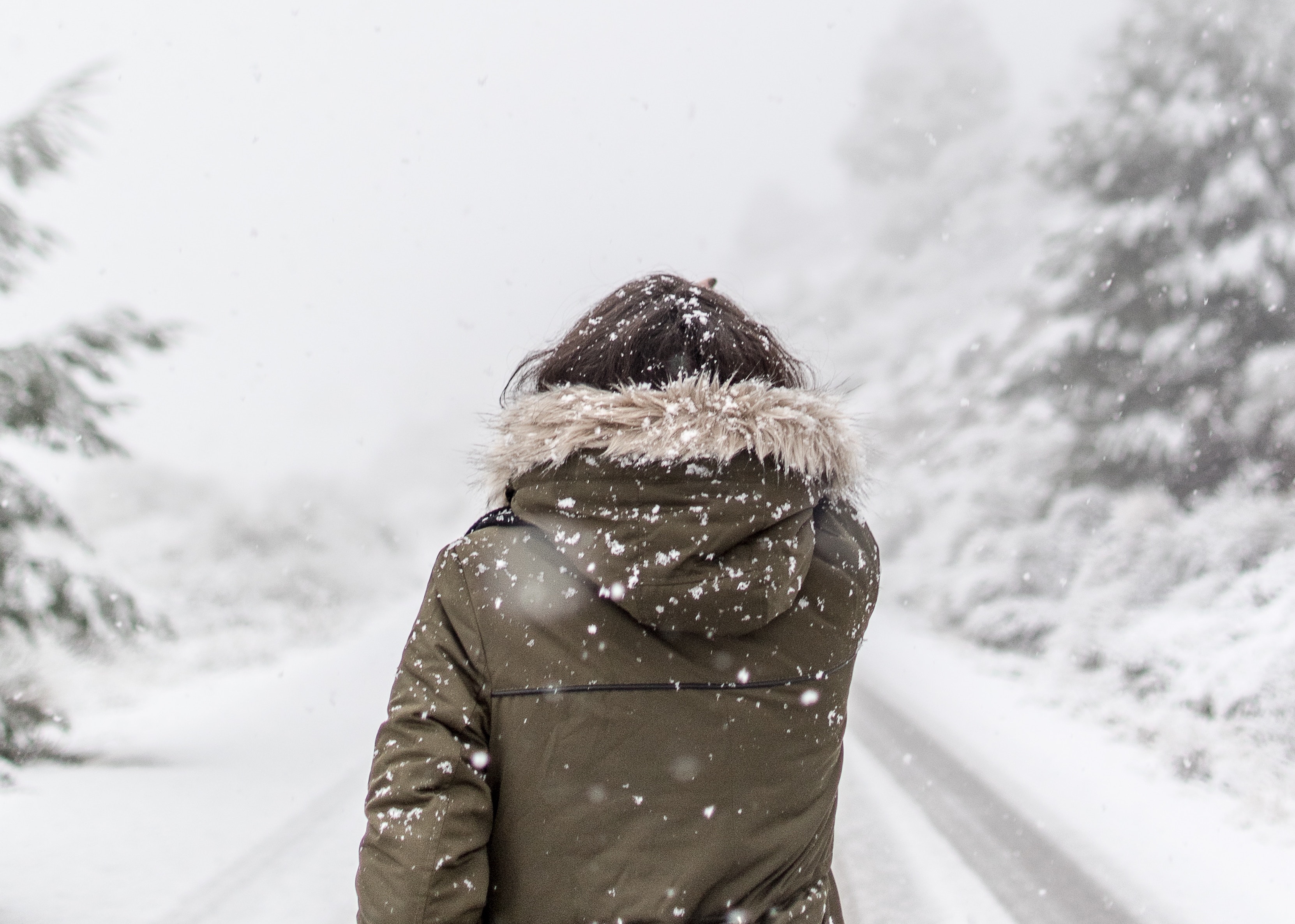 Woman on snowy road | As the Midwest grapples with a frigid polar vortex, a new study analyzes the hows and whys behind cold climate to warm climate home search patterns in the U.S. 