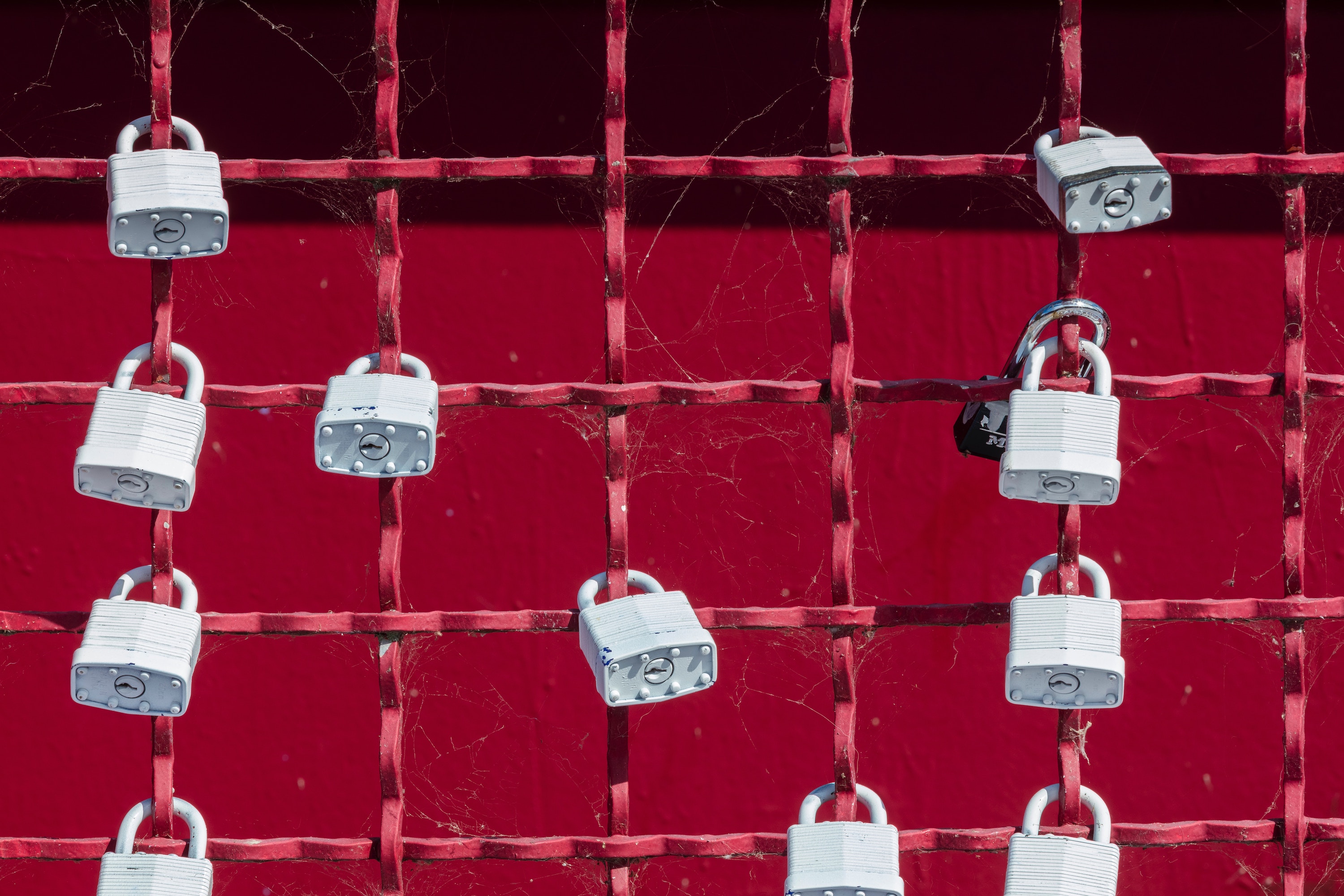 Locks on red fence