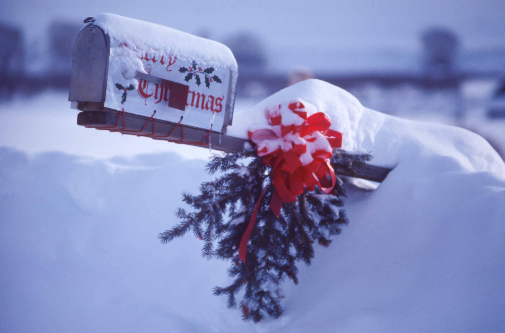 Mailbox with holly covered in snow