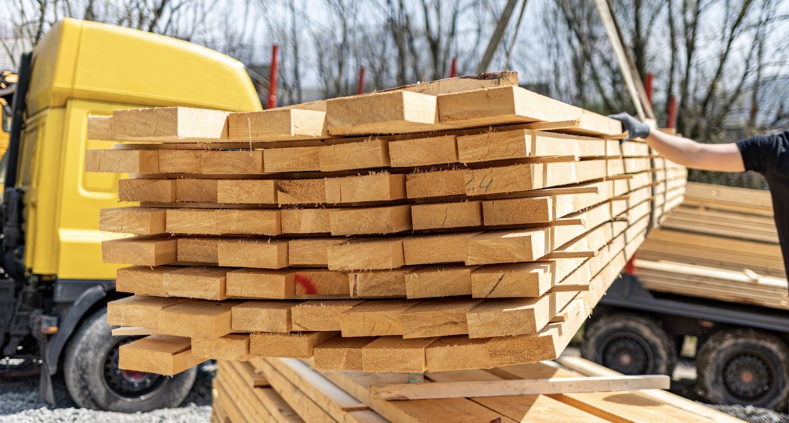 Lumber for home building