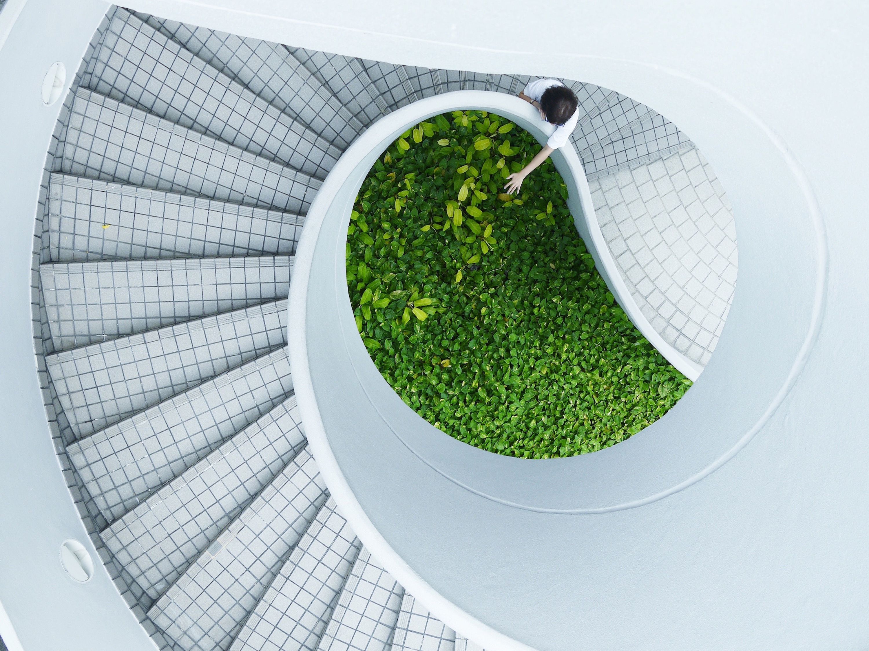Staircase with green plantings