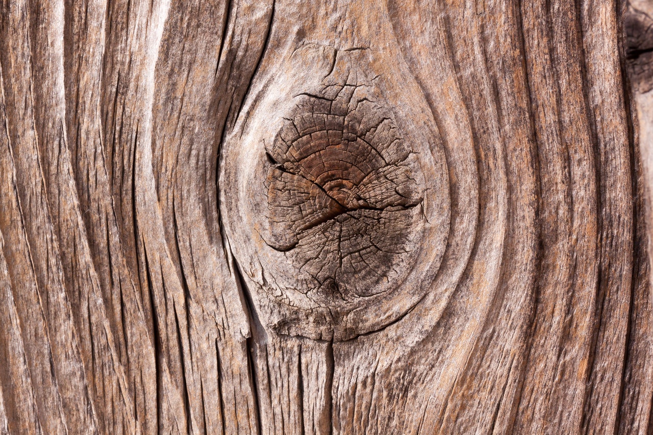 Tree knot