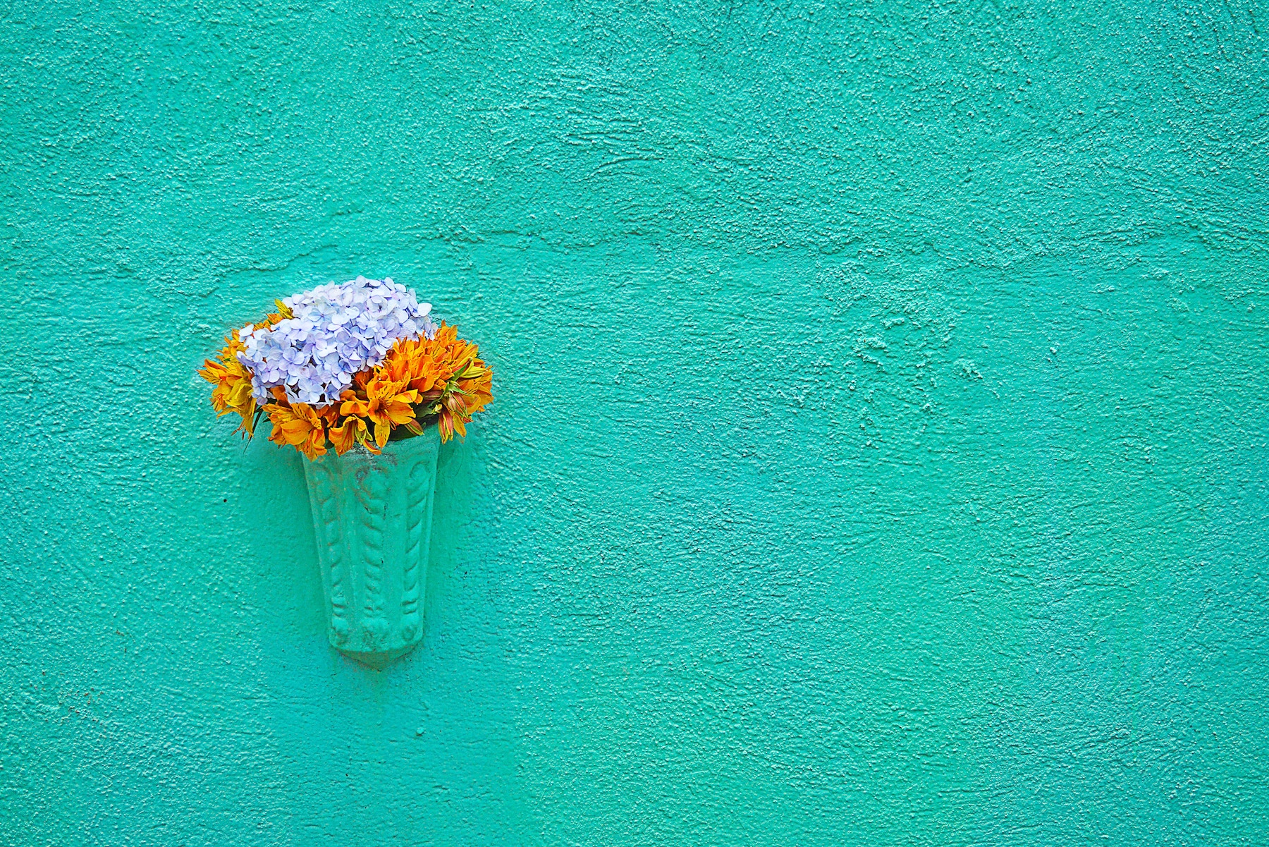 Flowers hanging on a teal wall